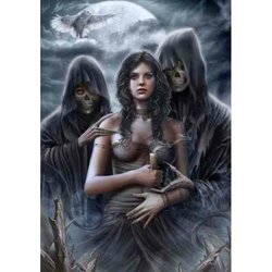 Spirit of the Night Puzzel  1000  Stukjes