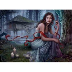 Cris Ortega - Night Unseen -  Puzzel 3000 Stukjes