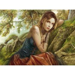 The Storyteller Puzzel 2000 Stukjes