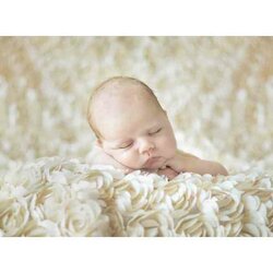 Konrad Bak: Baby sleeping in the Roses  -   Puzzel 2000 stukjes