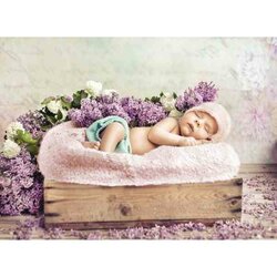 Konrad Bak: Baby sleeping in the Lilac   -   Puzzel 2000 stukjes