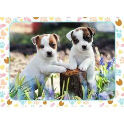 The Little Jack Russells -   Puzzel 100 Stukjes