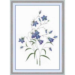 Campanula based on Pierre-Joseph Redouté gravure  borduurpakket
