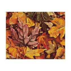 Wizardi Paint by Numbers kit. Colourful Autumn 40x50 cm