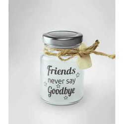 Friends never say goodbye  Star Light