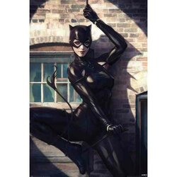DC Comics Poster Pack Catwoman Spot Light 61 x 91 cm