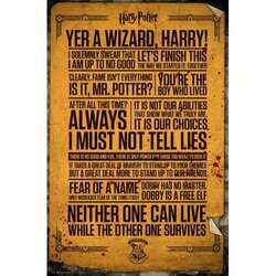 HARRY POTTER - Poster 61X91 - Quotes