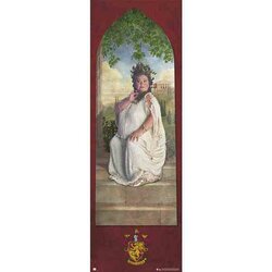 HARRY POTTER - Gryffindor Password - Door Poster 53x158