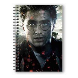 HARRY POTTER - Harry Potter Face 3D Effect - Notebook