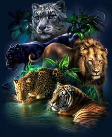 Grote Jungle Katten  75x85  55 kleuren  vierkante steentjes
