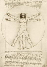 Leonardo Da Vinci - The Vitruvian Man, 1490 - Puzzel 1000 Stukjes