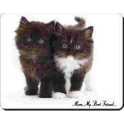 Moederdag  KITTENS-Mum My Best Friend Muismat 