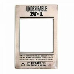 HARRY POTTER - Photo Frame Magnet 10 X 15 - Undesirable N? 1