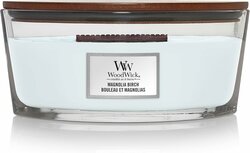 WoodWick - Magnolia Birch Ellipse Candle