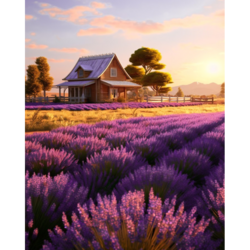 Diamond Painting op kader Lavender field 30x40 cm