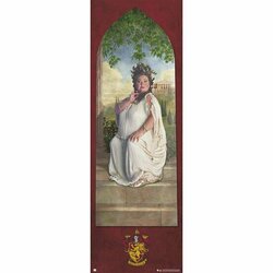 HARRY POTTER - Gryffindor Password - Door Poster 53x158