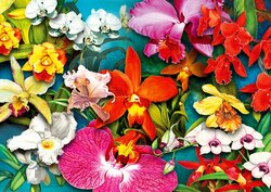 Orchid Jungle  - Puzzel - 1000 Stukjes