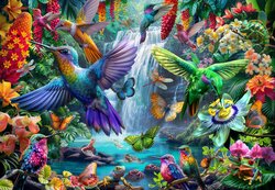 Tropical Hummingbirds  Puzzel 1000 Stukjes