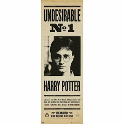 HARRY POTTER - Undesirable N?1 - Door Poster 53x158
