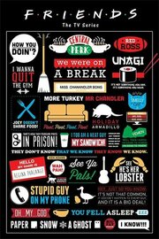 FRIENDS - Poster 61X91 - Infographic