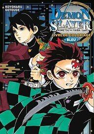 DEMON SLAYER - Livre de coloriage - Tome 2