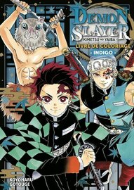 DEMON SLAYER - Livre de coloriage - Tome 4