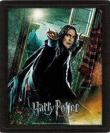 HARRY POTTER - Deathly Hallows - 3D Lenticular Poster 26x20cm