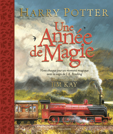 HARRY POTTER - Une ann?e de magie