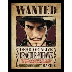 ONE PIECE NETFLIX - Dracule Mihawk - Collector Print 30x40cm