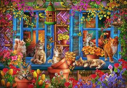 Window Shelf Cats - Legpuzzel 1000 Stukjes