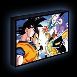 DRAGON BALL Z - Face Off - Light Canvas 40X30 Cm