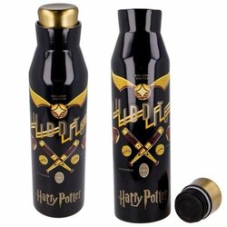 HARRY POTTER - Quidditch - Diabolo Stainless Steel Bottle - 580ml