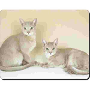 2 Abessijn Katten Muismat