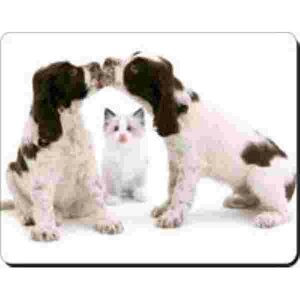 2 Kussende Cocker Spaniel met kat Muismat