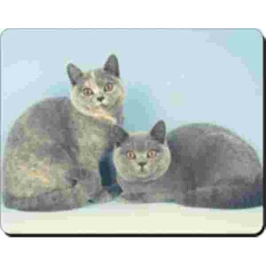 2 Britse Korthaar Katten Muismat